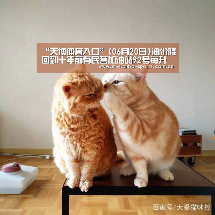 天博体育手机版