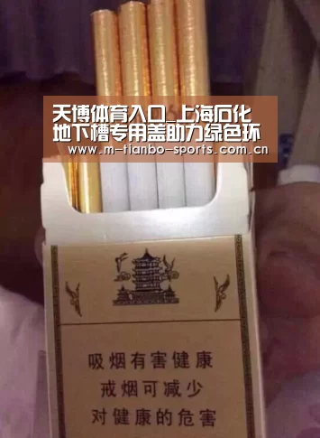 天博体育入口_上海石化地下槽专用盖助力绿色环保检修(图1) 天博体育手机版