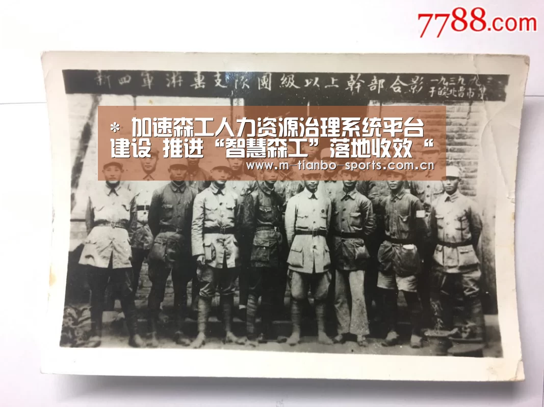 *
加速森工人力资源治理系统平台建设 推进“智慧森工”落地收效“天博体育app”(图4) 天博体育手机版