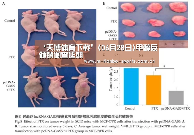 ‘天博体育下载’(06月28日)甲醇反倾销调查延期(图1) 天博体育app
