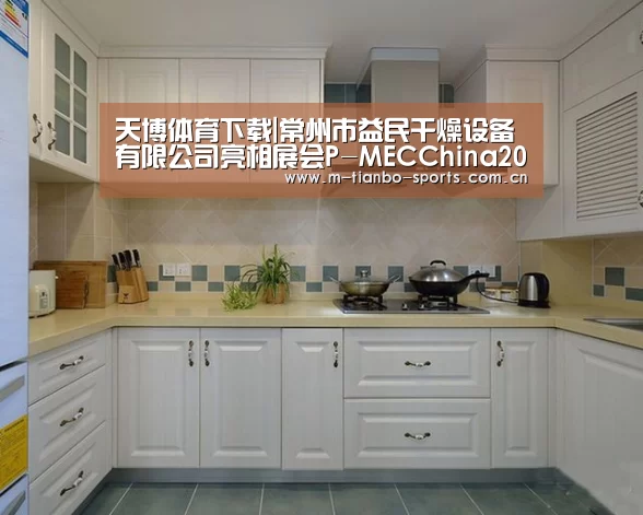 天博体育下载|常州市益民干燥设备有限公司亮相展会P-MECChina2011(图2) 天博体育入口