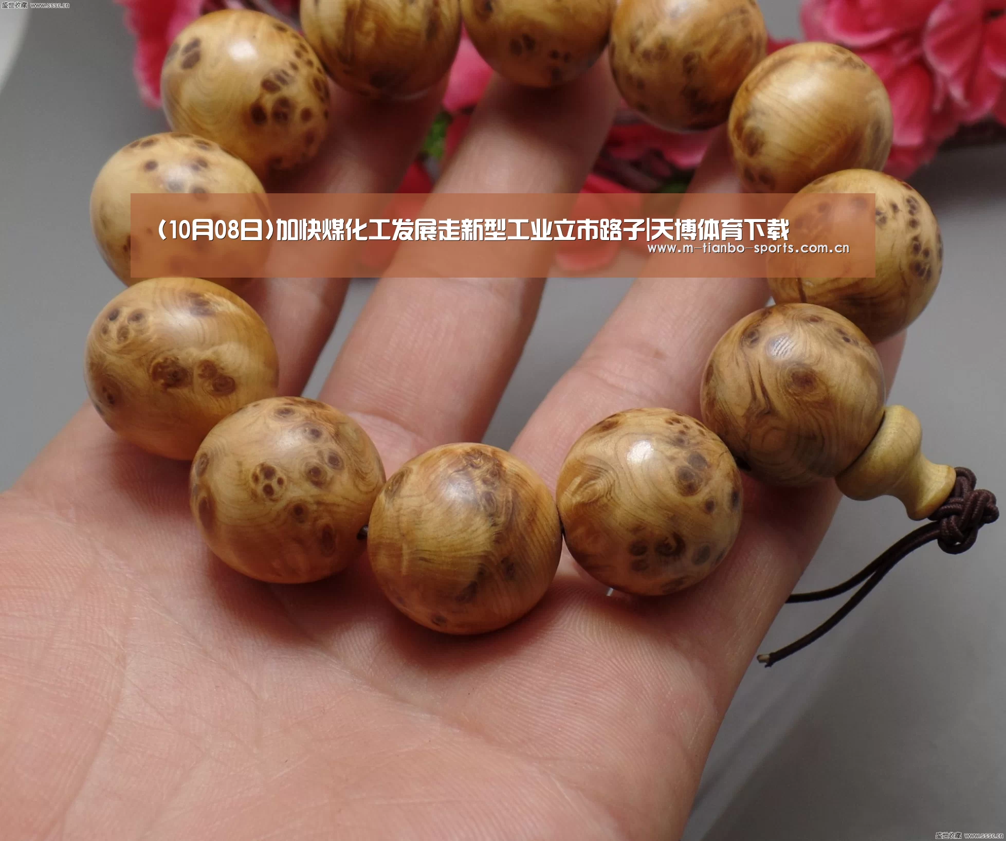(10月08日)加快煤化工发展走新型工业立市路子|天博体育下载(图2) 天博体育app