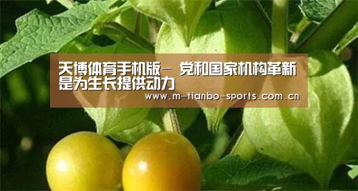 天博体育手机版-
党和国家机构革新是为生长提供动力(图2) 天博体育手机版