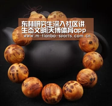 天博体育下载