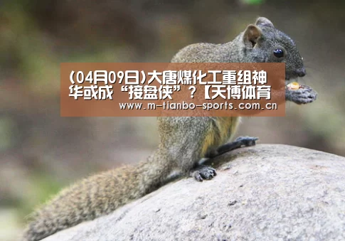天博体育手机版