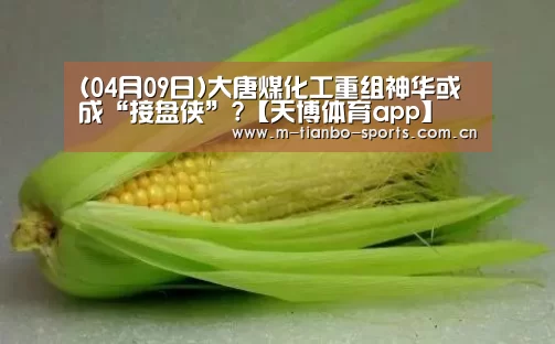 天博体育入口